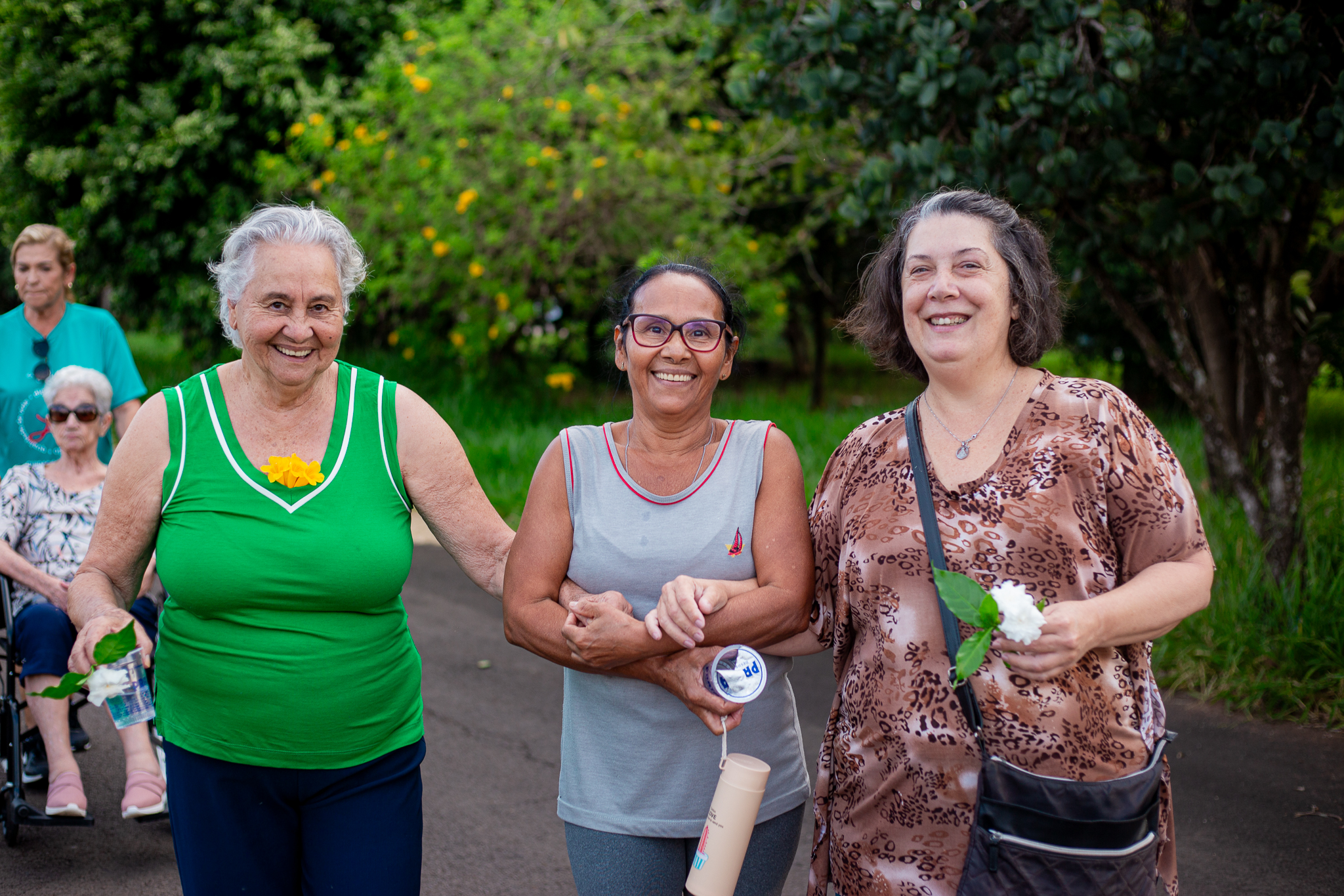 Descrição da Imagem 135